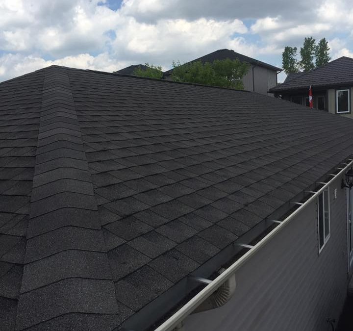 London Ontario Roof June 3 2016